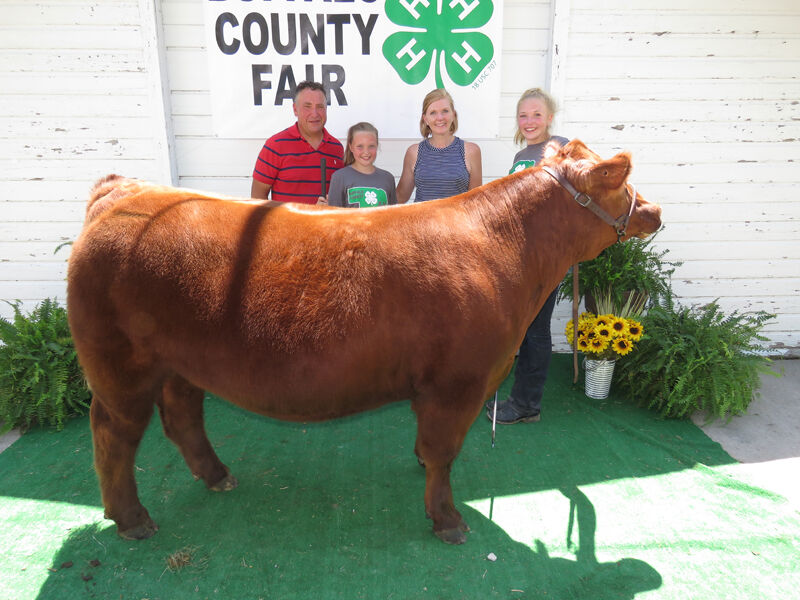 Beef, grand champion family, Bosshamers